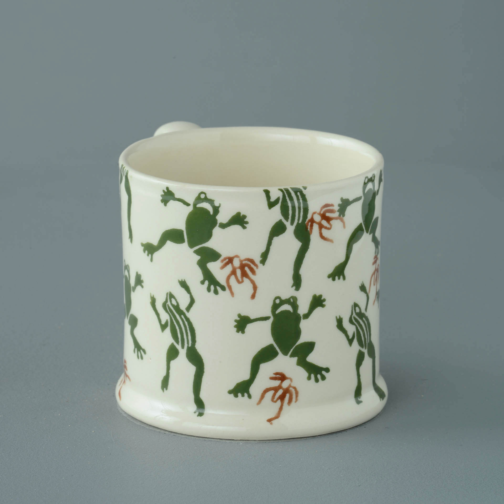 Frog Insect & On Newt Mug Large