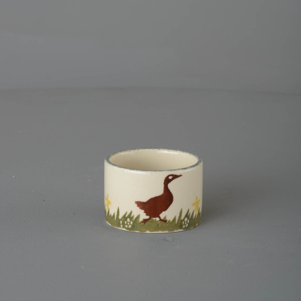 Duck Nighlight holder