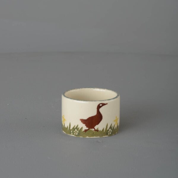 Duck Nighlight holder