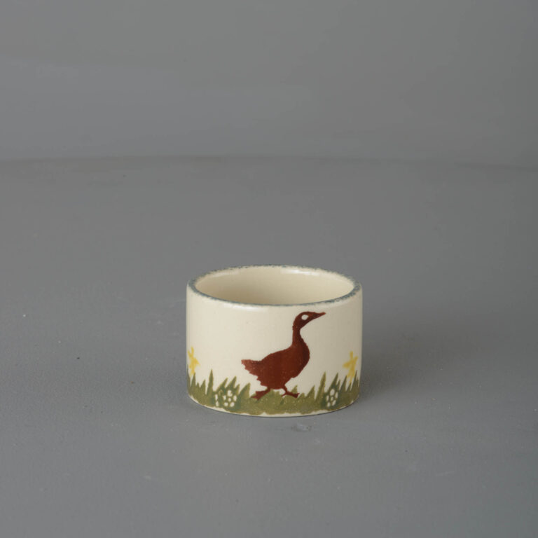 Duck Nighlight Holder