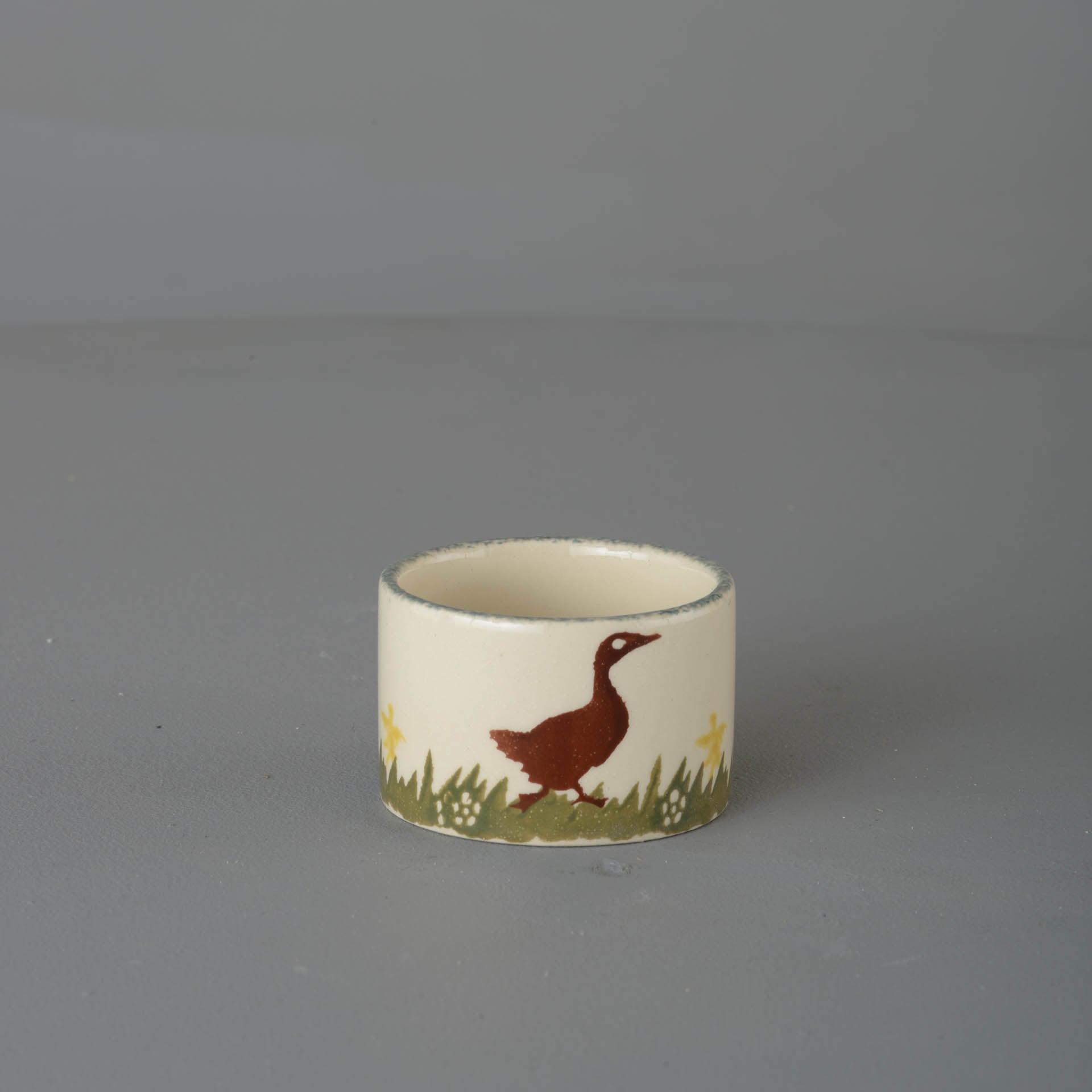 Duck Nighlight holder