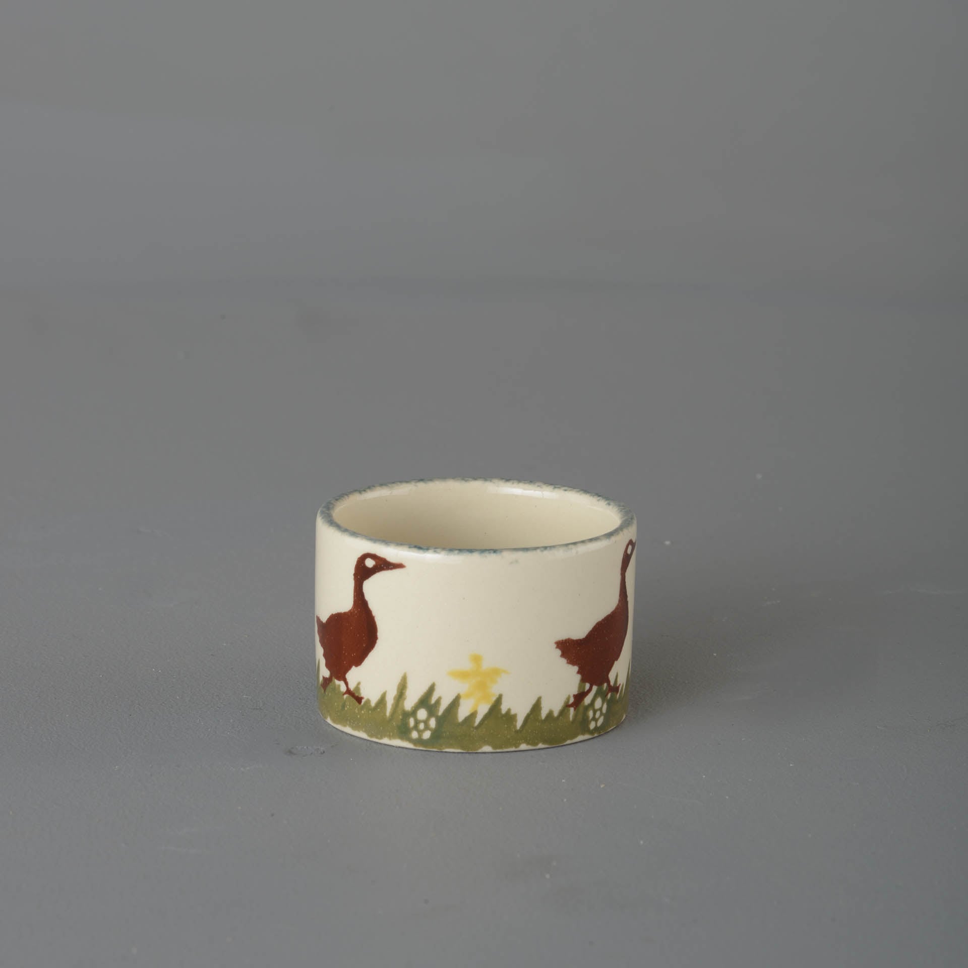 Duck Nighlight holder