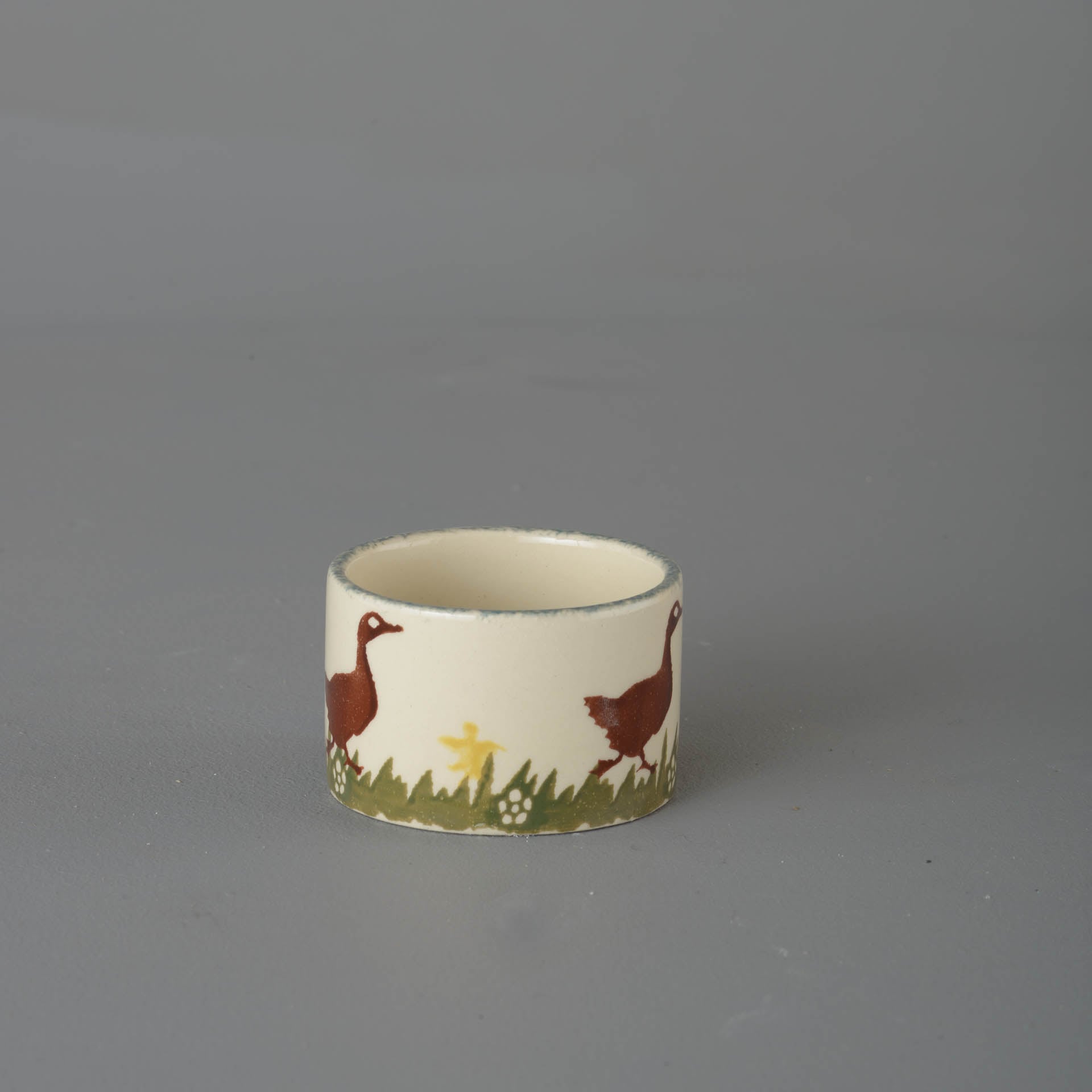 Duck Nighlight holder