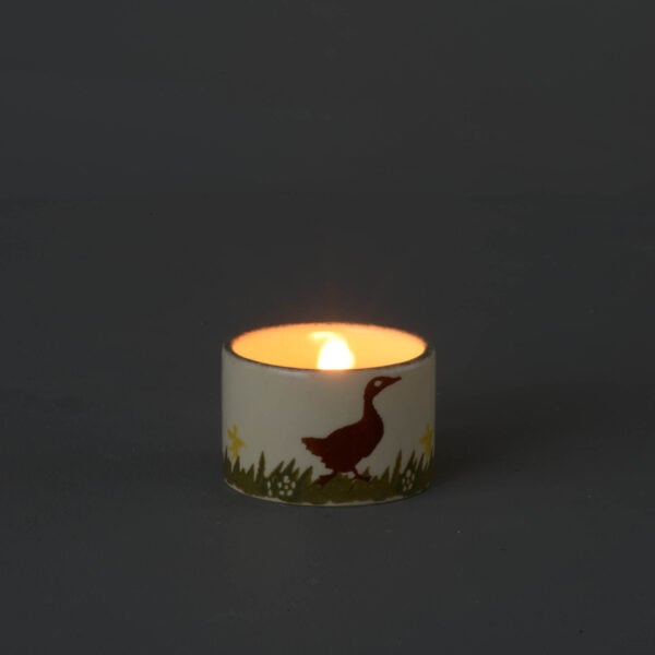 Duck Nighlight holder