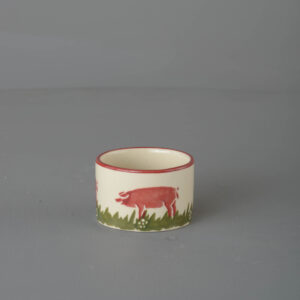Pink Pig Nighlight holder