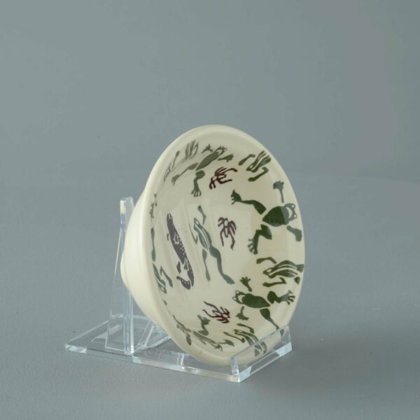 Frog Insect & On Newt Soap dish oval